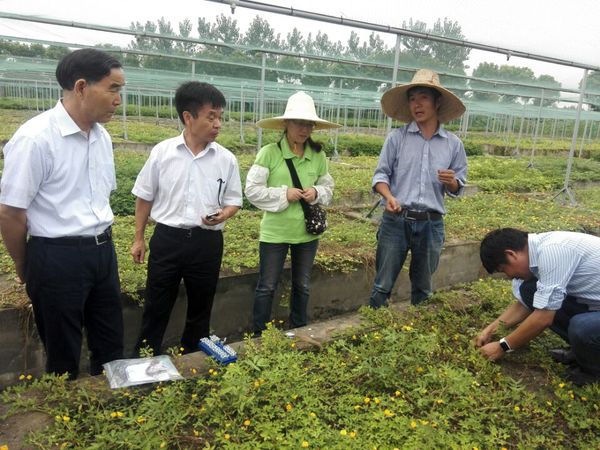 QQ图片20170907152207 QQ图片20170907152207