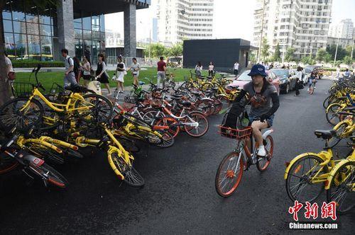 8月3日，北京街头的共享单车。<a target='_blank' href='http://www.chinanews.com/'>中新社</a>记者 侯宇 摄