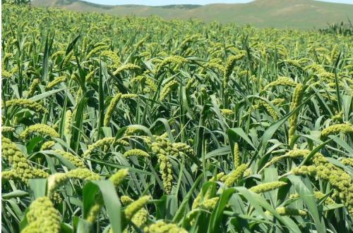 u=121882752,351592918&fm=27&gp=0 u=121882752,351592918&fm=27&gp=0