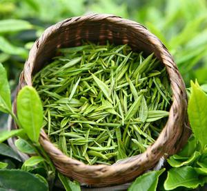 MTQ2OTEwNTI3NTcwNy0xMDI0MjE0ODE4.jpg..300x300 MTQ2OTEwNTI3NTcwNy0xMDI0MjE0ODE4.jpg..300x300