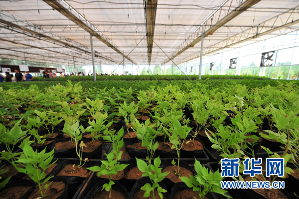 1121624786_15047751085171n 1121624786_15047751085171n