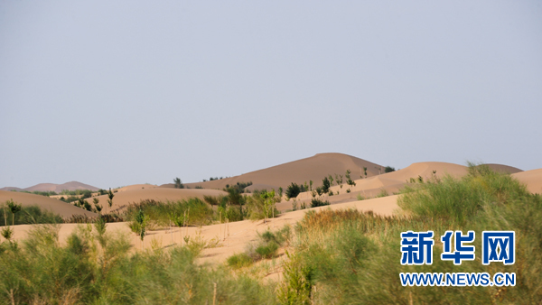 1121624786_15047751085271n 1121624786_15047751085271n