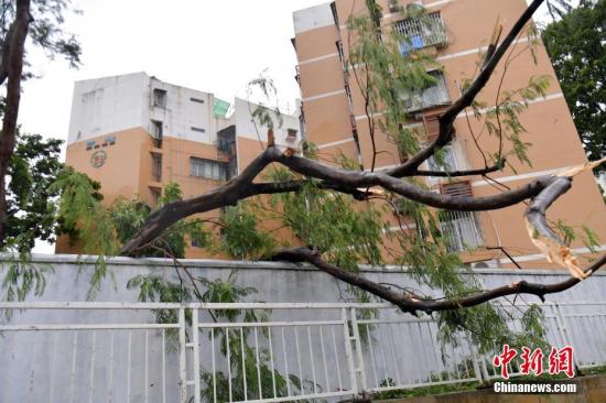 台风资料图。<a target='_blank' href='http://www.chinanews.com/'>中新社</a>记者 陈文 摄