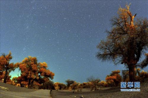 u=1745315931,868610492&fm=27&gp=0 u=1745315931,868610492&fm=27&gp=0