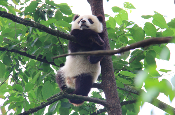 203626jgxi66m9q6gsuz6x 203626jgxi66m9q6gsuz6x