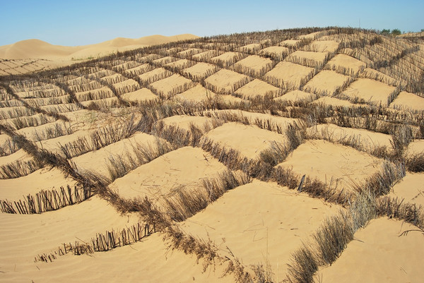 0023547ae9c00ba42cd952 0023547ae9c00ba42cd952