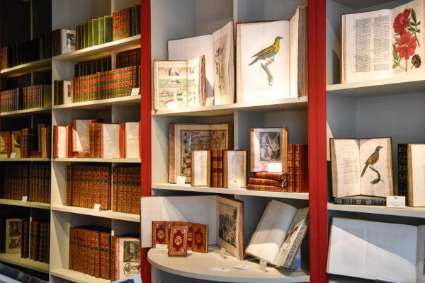 ↑这是9月11日在法国巴黎古董双年展上拍摄的一处展览陈设。2