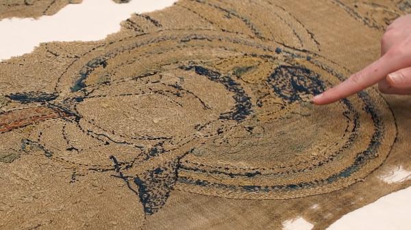 从背面可以更清楚的观察这些缝合线