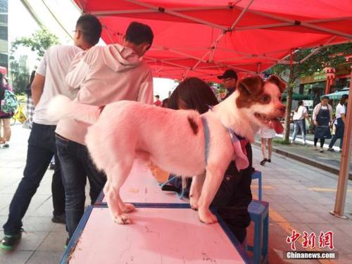 点击进入下一页