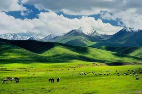 u=2219926143,3320976898&fm=27&gp=0 u=2219926143,3320976898&fm=27&gp=0