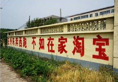 电商生长：在鲜花与荆棘之中