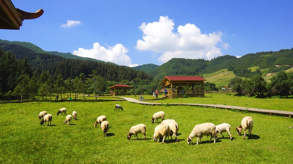 B20170915001-zx6 B20170915001-zx6