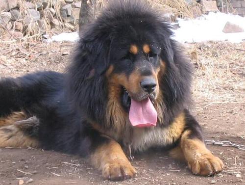 QQ截图20170915100543 QQ截图20170915100543