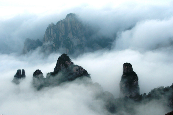 001cc435648b1337a2fa3f 001cc435648b1337a2fa3f