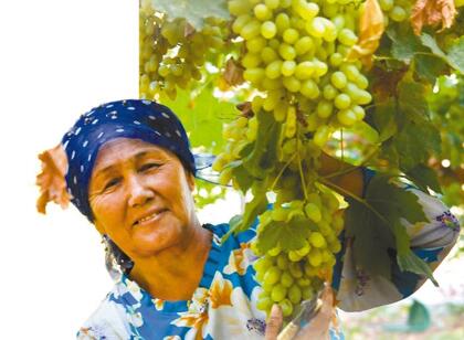 QQ截图20170918081931 QQ截图20170918081931