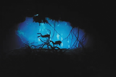 wangzch79121_b wangzch79121_b