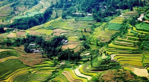 44a545c9c91e496e85d13e68f85ecd0c 44a545c9c91e496e85d13e68f85ecd0c