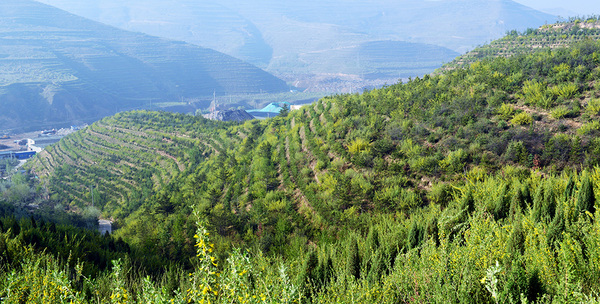 W020170916632284012616 W020170916632284012616