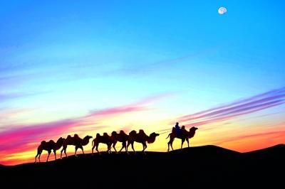 W020170918330302796763 W020170918330302796763