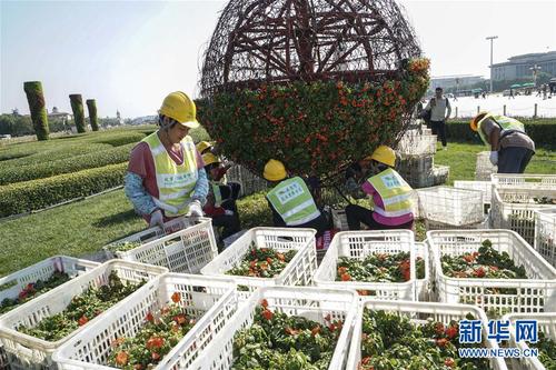 1121686862_15057870539271n 1121686862_15057870539271n