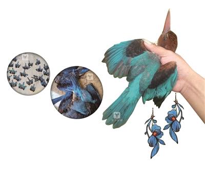 点击进入下一页