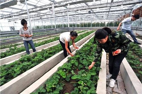 W020170914621727747152 W020170914621727747152