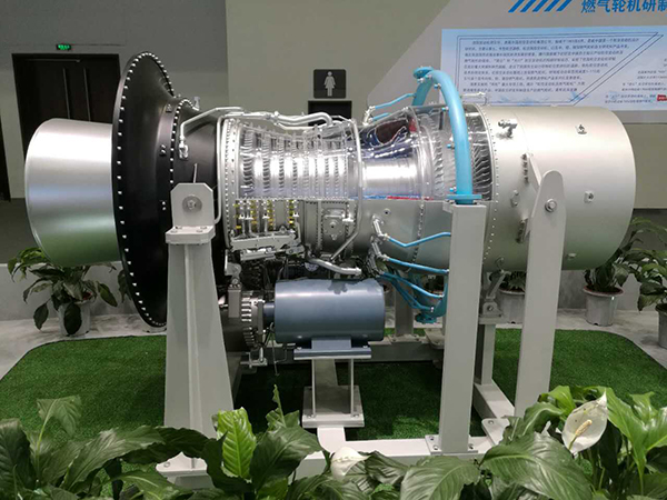 1121697852_15059161313991n 1121697852_15059161313991n