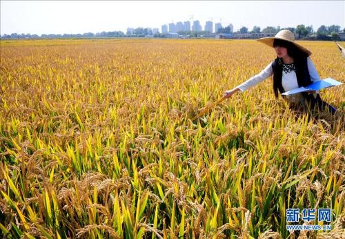 u=133562664,2167953084&fm=27&gp=0 u=133562664,2167953084&fm=27&gp=0