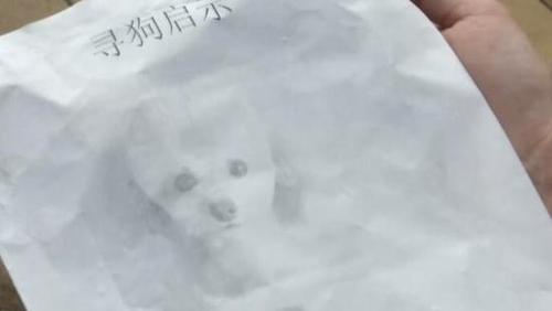 22435034e9f05c293b8a0d073a2ee149.jpg taidi1.jpg