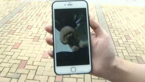 57e543aac7035311359a682b720fdda7.jpg taidi3.jpg