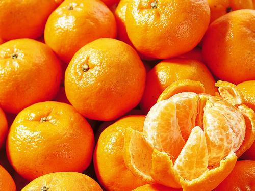 u=684388032,3823193368&fm=27&gp=0 u=684388032,3823193368&fm=27&gp=0