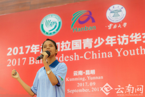 王亚丽发言。