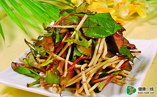 鱼腥草药食两用 治感冒湿疹