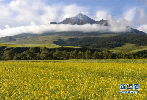 u=1696221818,3702132475&fm=27&gp=0 u=1696221818,3702132475&fm=27&gp=0