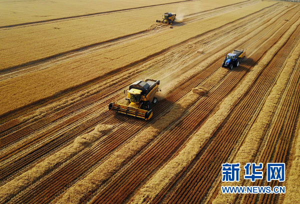 1121708131_15060624745121n 1121708131_15060624745121n