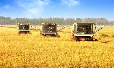 b7d04bee42ec634bd706635c8a0a364c b7d04bee42ec634bd706635c8a0a364c