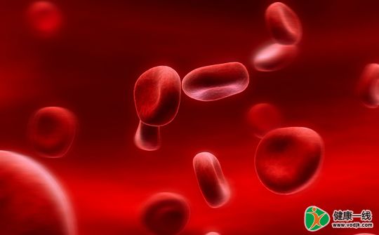 贫血最应该吃哪种肉