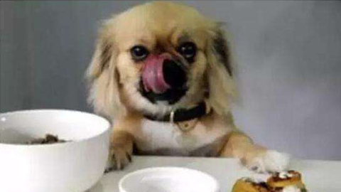 W020170926479693959293 W020170926479693959293