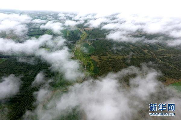 2024213_600x600 2024213_600x600