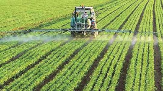 u=3490978314,2078431701&fm=27&gp=0 u=3490978314,2078431701&fm=27&gp=0