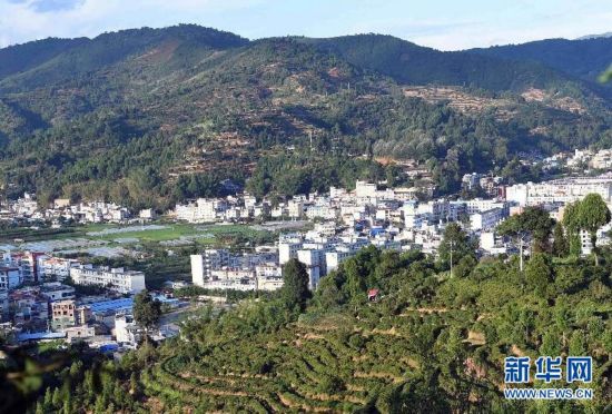 12889028133654717280 12889028133654717280