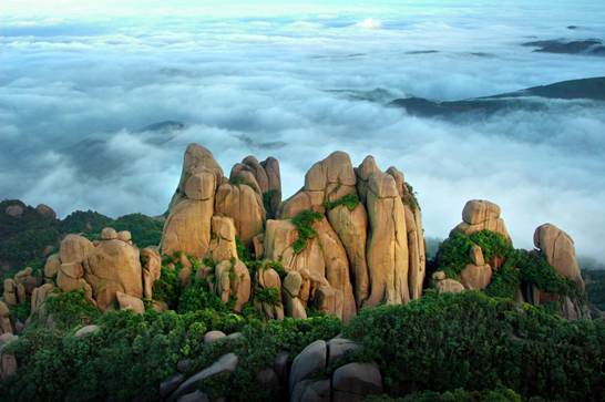 1121733373_15064985714131n 1121733373_15064985714131n