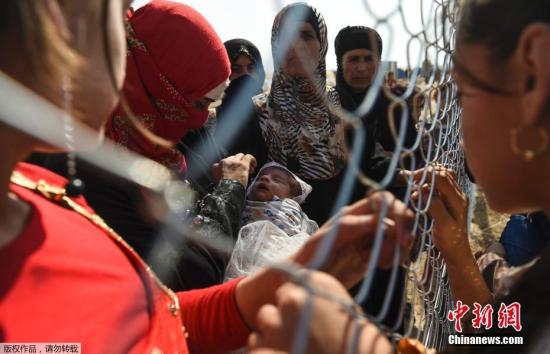 当地时间2016年10月26日，伊拉克埃尔比勒，因摩苏尔战事而逃离的难民在Khazer难民营与两年前到达此地的亲人隔着铁丝网相见。