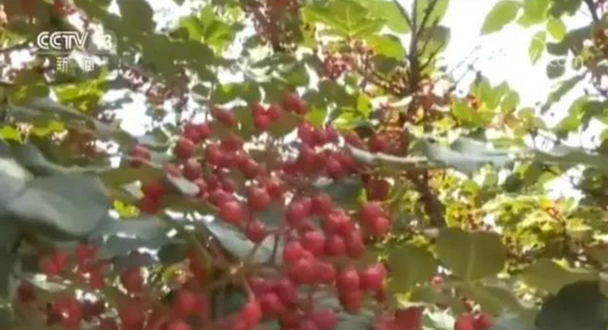 81f3c2aeef33609846b87919db9eb941.png blob.png