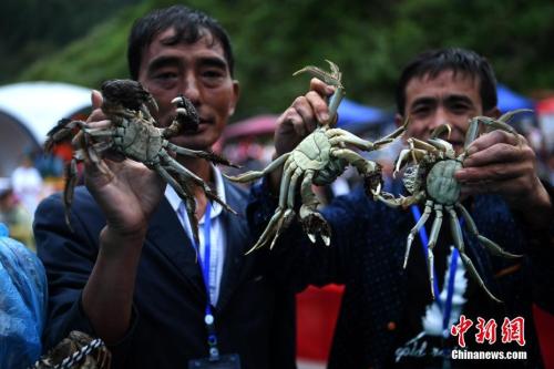 963cf7615d7c420c9e9031ecdc383179 963cf7615d7c420c9e9031ecdc383179