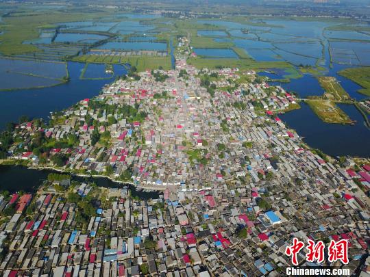 图为“华北明珠”白洋淀航拍图片?！≌欧?摄