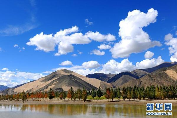 cf08a26f-27da-4fa8-b7e2-28b98b017e7a cf08a26f-27da-4fa8-b7e2-28b98b017e7a