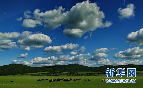 u=2629199433,843789672&fm=214&gp=0 u=2629199433,843789672&fm=214&gp=0