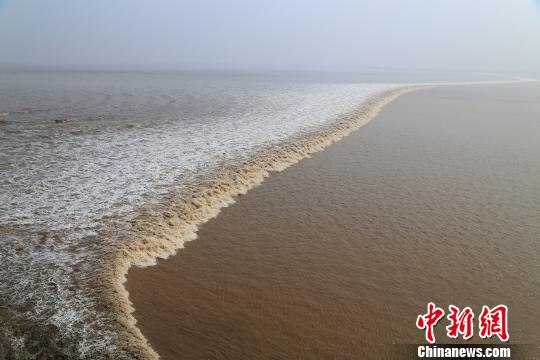 “一线横江”的钱江潮?！⊥踉?摄