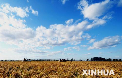 u=4289178352,3244450588&fm=27&gp=0 u=4289178352,3244450588&fm=27&gp=0